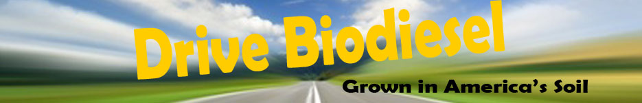 BioDiesel Locations and Information